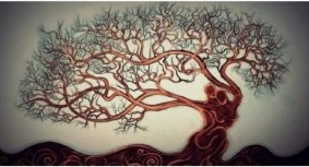 Laboratorio esperienziale organizzato dalla Cooperativa Ape Regina