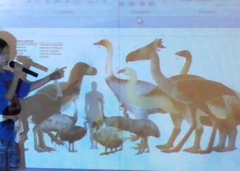 Complimenti dal Canada per Francesco Barberini. A breve, nuovo video sul Monte Rufeno