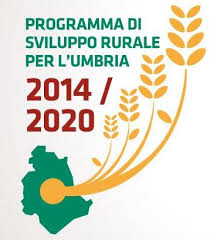 Sviluppo e commercializzazione di servizi turistici per il turismo rurale