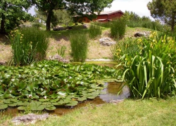 “Insieme per i terremotati”: all’Orto botanico dell’Unitus per una giornata all’insegna della natura e della solidarietà