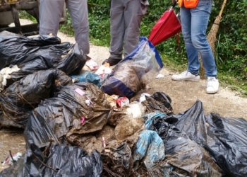 Accertamento abbandono rifiuti in località Canale