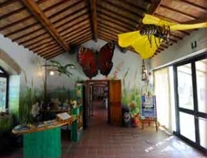 Educare alla sostenibilità con la Settimana della Cultura Scientifica al Museo del Fiore