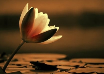 Sezione PCI Orvieto: “Vicini al lutto del compagno Ciro Zeno”