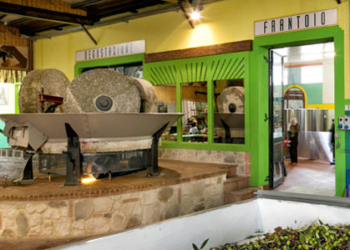 Arrivano i giorni dell’olio nuovo a Orvieto. Cornice il Vecchio Frantoio Bartolomei