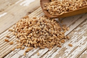 Il sindaco di Alviano Ciardo lancia appello per “Olio e Farro”