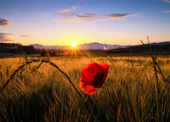 Corso-mostra di fotografia paesaggistica al Museo del Fiore di Acquapendente: “L’Alfina nel tuo obiettivo”