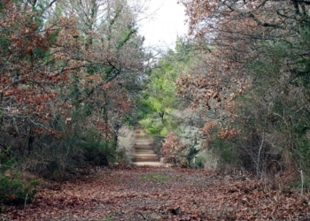 Decimo meeting Carta Europea del Turismo Sostenibile. Presente anche la Riserva Naturale Monte Rufeno