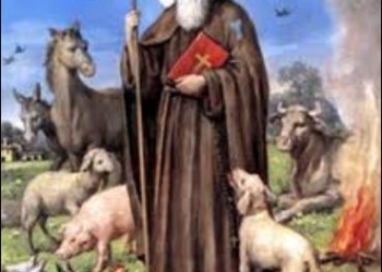 Acquapendente festeggia Sant’Antonio Abbate