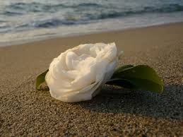 Trappolino: “la scomparsa dell’avvocato Barberani è una grave perdita per la città”