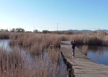 Nuovo video per Francesco Barberini, alla scoperta dell’Oasi Orti Bottagone