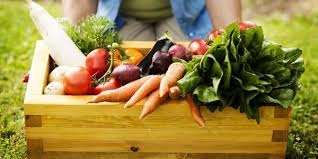 Allerona e Castel Viscardo si alleano per promozione prodotti agro alimentari filiera corta