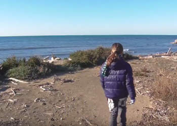 Nuovo video per l’aspirante ornitologo Francesco Barberini