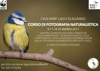 L’Oasi di Alviano si mette in mostra. A marzo Corso di fotografia naturalistica