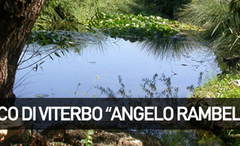 Riconoscere le piante commestibili con Erborando, nell’Orto Botanico Angelo Rambelli