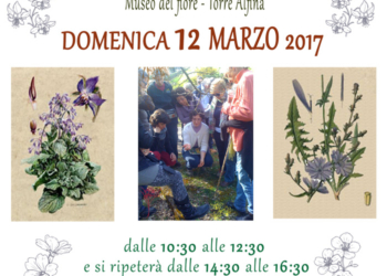 Al Museo del Fiore al via la V edizione de “L’insalata della nonna”