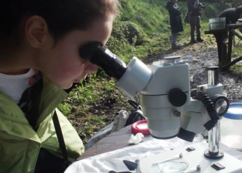 Giornata Tandem, una domenica tra cultura e natura ad Alviano