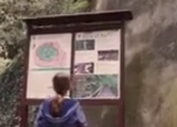 Francesco Barberini vola a Napoli con il WWF e trova anche i Dinosauri