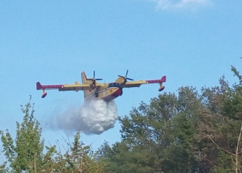 Dodici ettari di terreno divorati dalle fiamme a Ficulle. Fatto arrivare anche un canadair