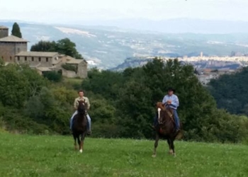 Coordinamento Associazioni Orvietano, Tuscia e Lago di Bolsena: “E’ ora di tutelare e valorizzare l’Altopiano dell’Alfina”
