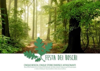 Tra laboratori, musica e incontri faunistici parte la Festa dei Boschi 2017