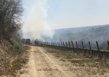 Dodici ettari di terreno divorati dalle fiamme a Ficulle. Fatto arrivare anche un canadair