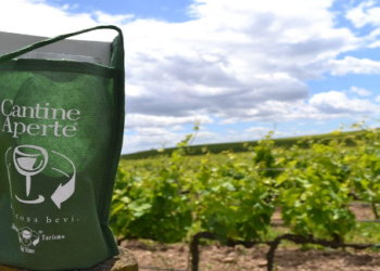 Al via la due giorni di “Cantine Aperte”, una vacanza open air a tema vino e natura