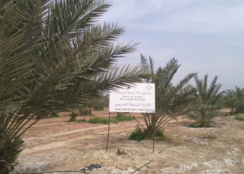 Il CNR – IBAF mette in rete il territorio orvietano come baricentro tra Europa e Mediterraneo