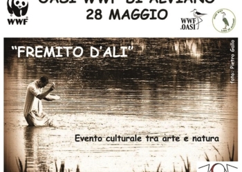 All’Oasi di Alviano la primavera si festeggia con un “Fremito d’Ali”