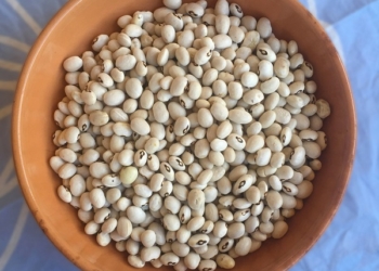 A “Todi Fiorita” il gusto della biodiversità locale