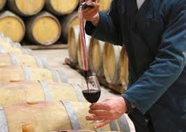 Maremmachevini II edizione, ritorna la rassegna dei Doc Maremma Toscana