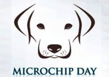 Acquapendente: Microchip day, Applicazione gratuita microchip per cani