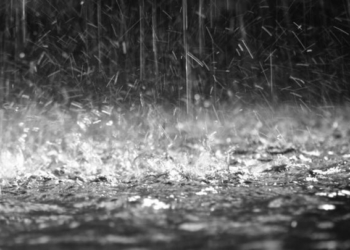 Rischio siccità, basso il livello delle falde. Tutti gli interventi per affrontare il periodo estivo