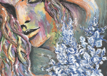 A Acquapendente tutto pronto per la Madonna del Fiore e i Pugnaloni