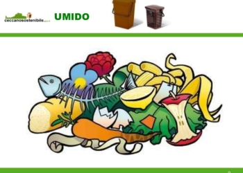 Raccolta rifiuti porta a porta, al via il calendario estivo. Ritiro umido tre volte a settimana