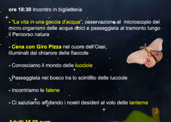 “Falene, lucciole e lanterne”, all’Oasi di Alviano si festeggia così la notte di San Giovanni