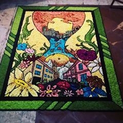 Palombella, palio, dame, fiori, vino e gelati: il fine settimana denso di emozioni e tradizione sulla Rupe