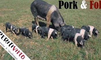 Pork & Folk: Il terzo atto di “Aperitivino”  a Tenuta Vitalonga di Ficulle