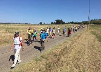 Sette giorni a piedi alla scoperta di paesaggi e arte con l’itinerario della Via Francigena della Tuscia