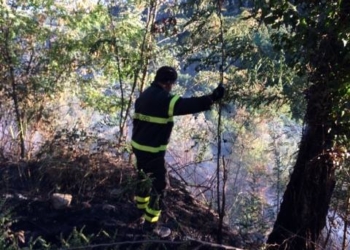 Incendio boschivo sulla strada per Tordimonte domato dai Vigili del Fuoco di Orvieto e Amelia