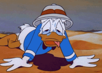 Torna l’ondata di caldo che toccherà il picco di 38° venerdì 7 luglio