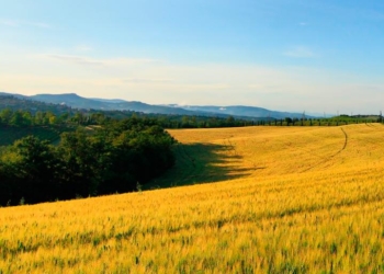 Presentati a San Venanzo percorsi natura per riscoprire storia e bellezze intorno al Peglia