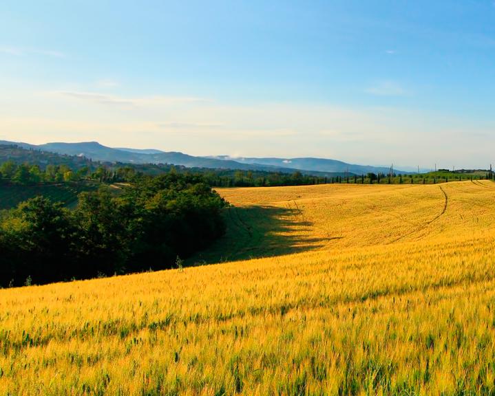 Presentati a San Venanzo percorsi natura per riscoprire storia e