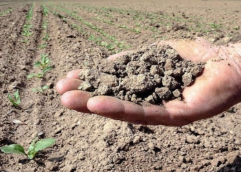 Siccità e incendi, l’Umbria in ginocchio. Danni per oltre 60 milioni di euro con diminuzione 60% resa grano e orzo