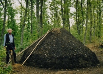 Acquapendente, successo per la carbonaia di Alessandro Fani alla Festa contadina