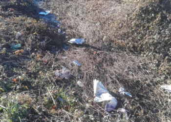 Il taglio dell’erba mostra la verità: la strada dell’Abbadia invasa dai cumuli di plastica