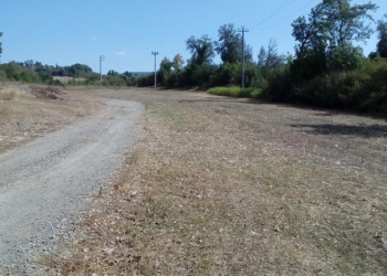 Si scaldano i motori de La Castellana, tiene banco il duello Fattorini-Zardo
