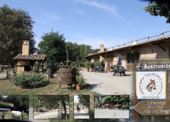 Ecco il resoconto del Campionato regionale laziale di gimkana tecnica 2017, tenutosi al Centro Ippico San Filippo