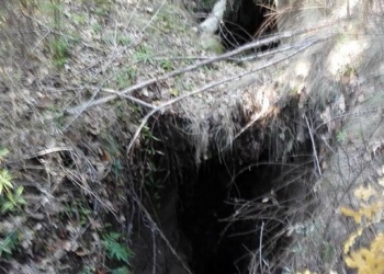 Crepe nel terreno vicino Monte Tigno nei pressi di Rocca Ripesena. Lunedì il sopralluogo della ProCiv