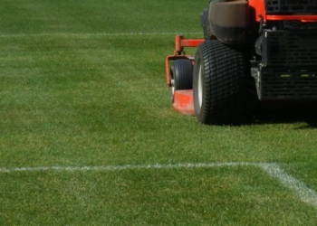 Al via progetto definitivo riqualificazione manto erboso campo sportivo di Sferracavallo