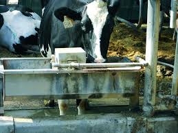 Sviluppo rurale Umbria, sostegno a investimenti per approvvigionamento acqua nei pascoli